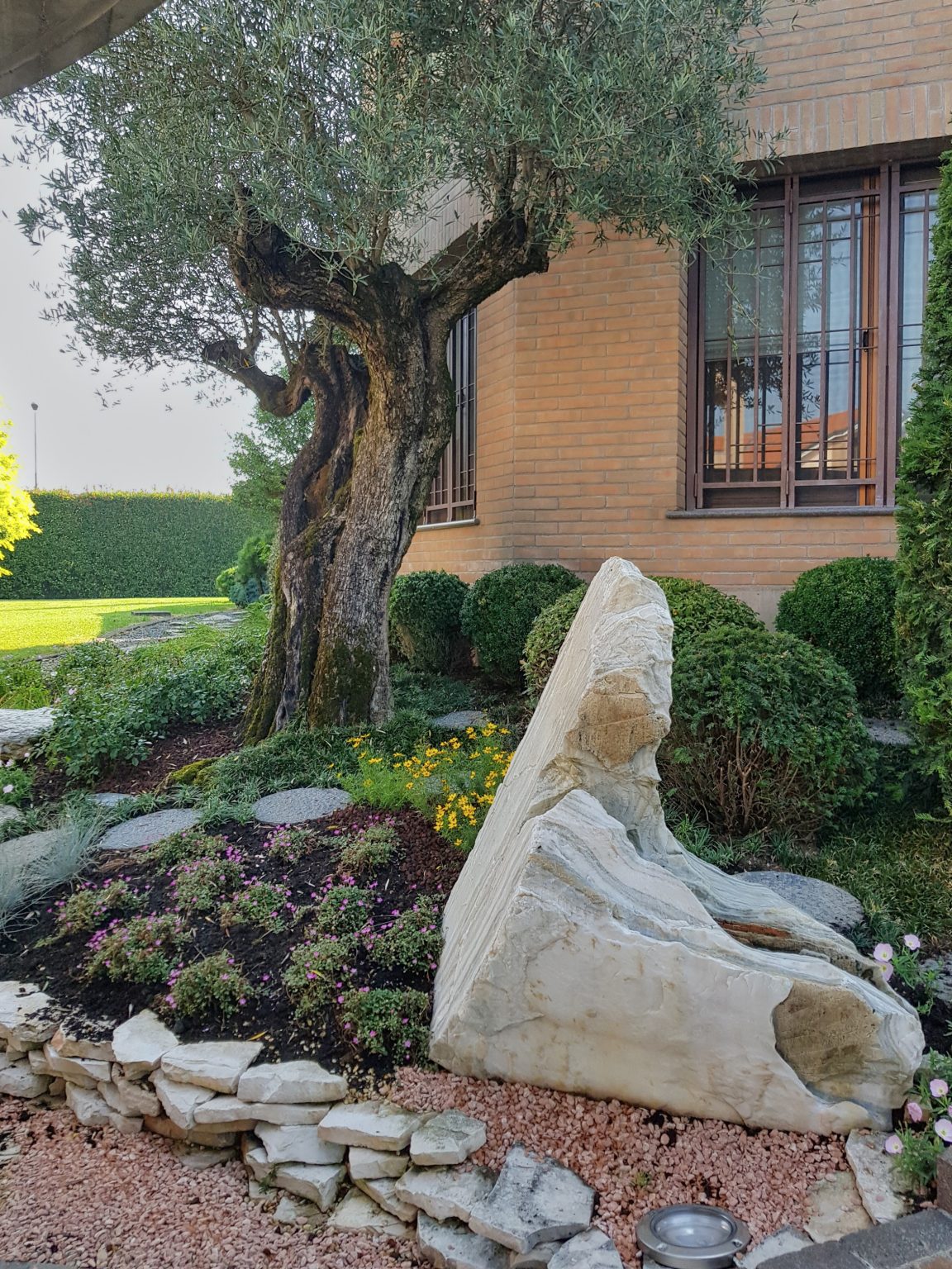 Non Solo Giardini